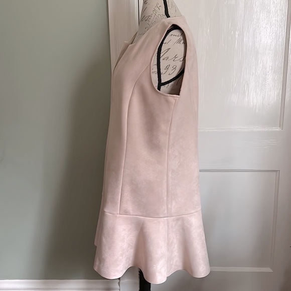 Bcbgmaxazria Adelene Bare Pink Micro Suede Shift Dress - Picture 6 of 15